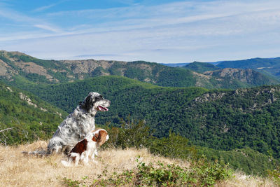 Outdoor activities with your dog are perfect for recreation in times of corona