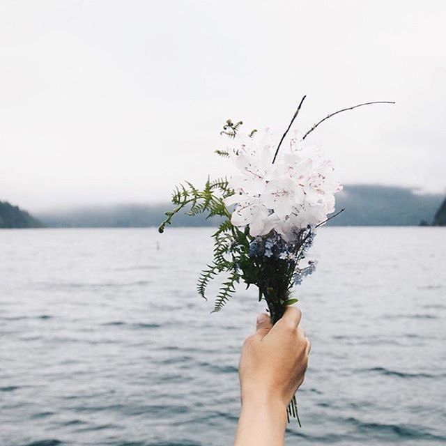 person, flower, holding, part of, personal perspective, water, lifestyles, beauty in nature, nature, leisure activity, cropped, focus on foreground, unrecognizable person, freshness, plant, sea