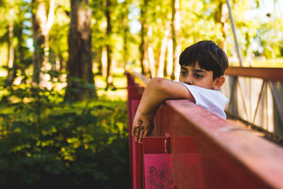 Portrait of boy in forest