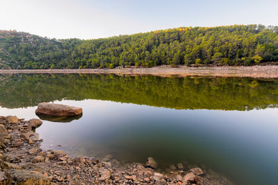 Scenic view of lake in forest against sky