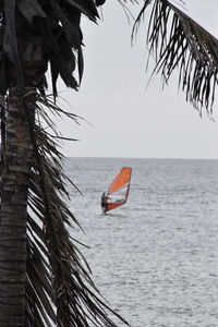 Close-up of tree by sea against sky