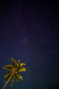 Low angle view of starry sky