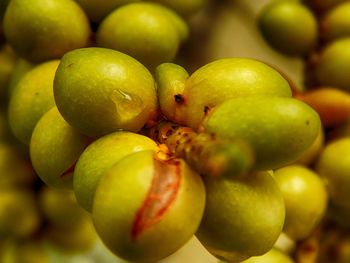 Full frame shot of fruit