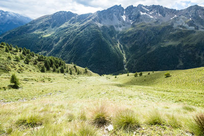 Landscape with mountain range in background