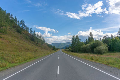 Winding asphalt road through the forest in the altai mountains