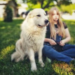 Full length of dog sitting on field