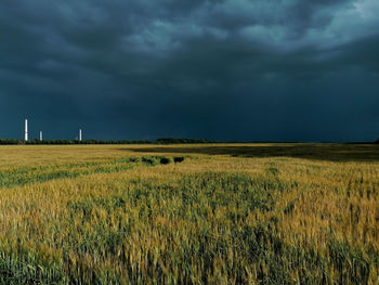 Scenic view of agricultural field against sky