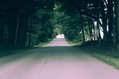 Empty road in forest