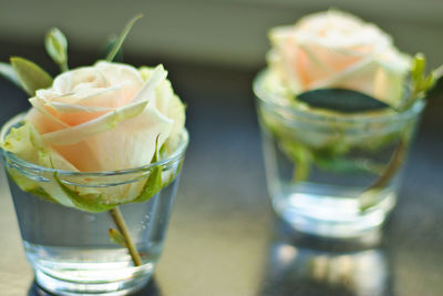 Close-up of flower in glass on table