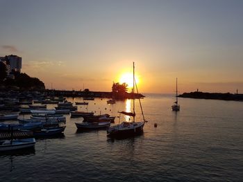 Boats moored at harbor during sunset