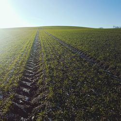 Tire tracks on agricultural field against clear sky