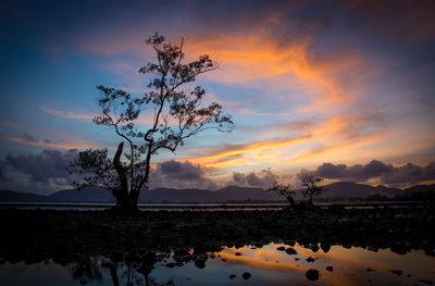 Silhouette tree by lake against sky during sunset