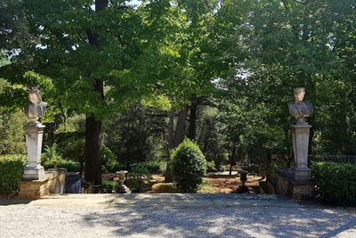 Statue against trees