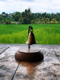 Full length of woman in farm against sky