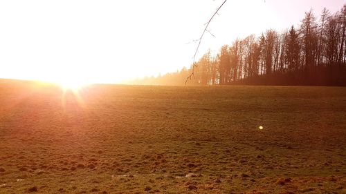 Scenic view of field against clear sky during sunset