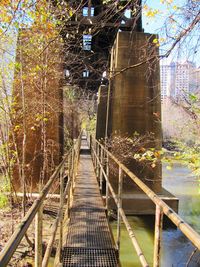 Footbridge along trees