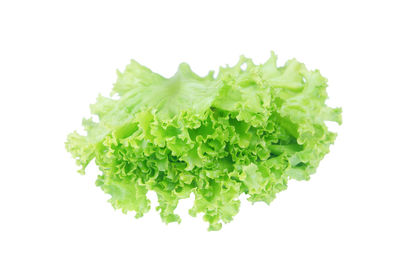 Directly above shot of chopped leaf against white background