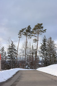 Snow covered road amidst trees against sky