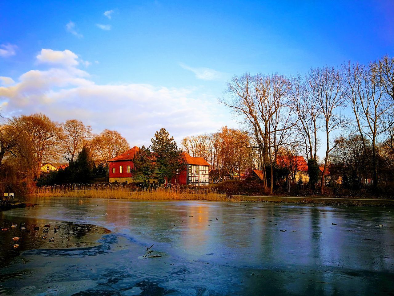 SCENIC VIEW OF LAKE BY TREES AGAINST SKY