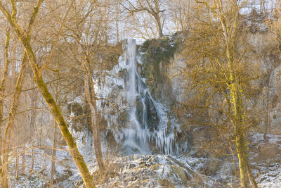 Scenic view of river in forest during winter