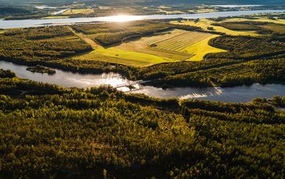 High angle view of agricultural field