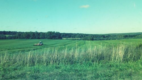 Scenic view of agricultural field against sky