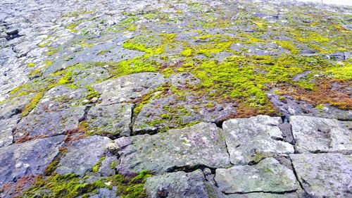 Full frame shot of stone wall