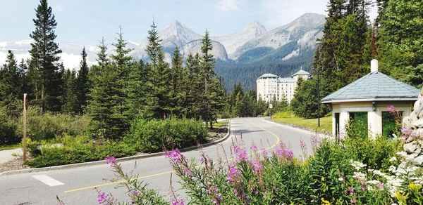 Panoramic shot of flowering plants by buildings against sky