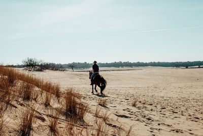 Rear view of man riding horse on land against sky