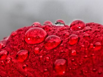 Close-up of water drops