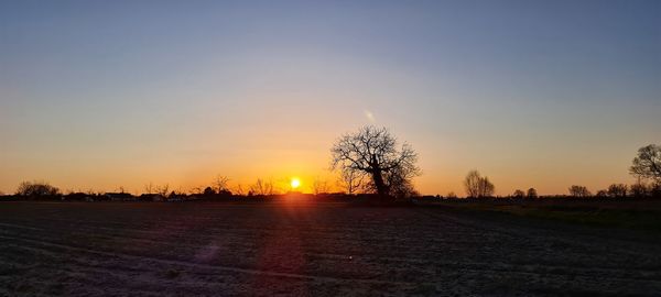 Scenic view of field against sky during sunset