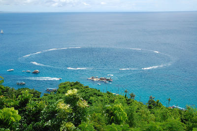 High angle view of sailboats on sea