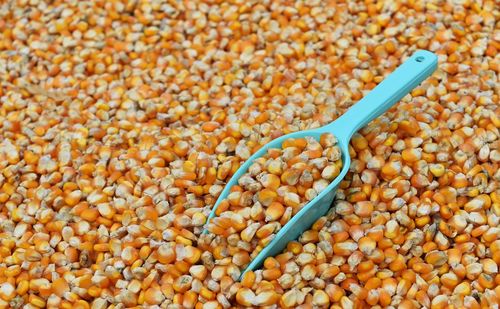 Close-up of corn kernels with spatula for sale