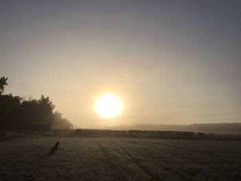 sun