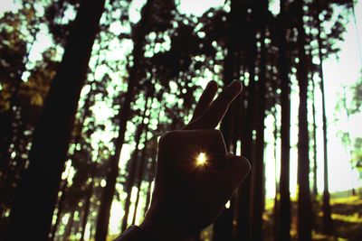 Cropped hand showing ok sign against trees at forest