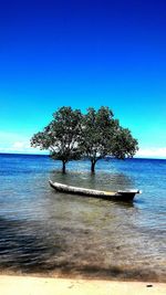 Scenic view of sea against clear blue sky