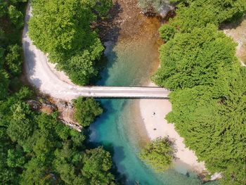 High angle view of river flowing amidst trees in forest