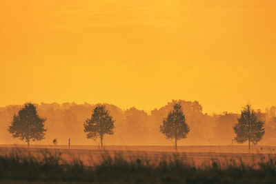 Trees on field against orange sky