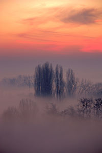 Silhouette trees against romantic sky at sunset