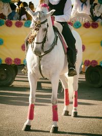 Low section of person on white horse