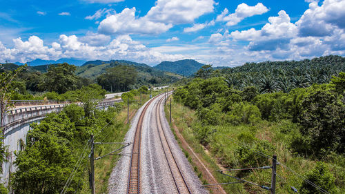 Railroad tracks amidst trees against sky