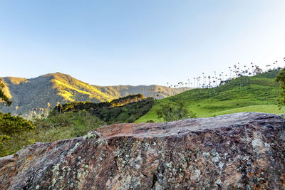 Scenic view of landscape against clear sky