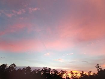 Low angle view of silhouette trees against sky