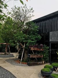 Potted plants in yard against building