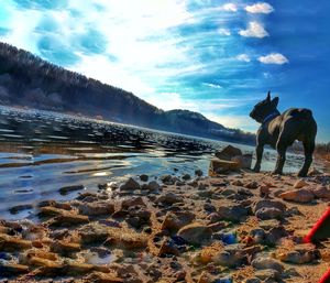 Panoramic view of sea against sky