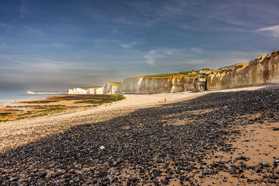 Seaweed covered chalk beds at birling gap beach in east sussex, uk.