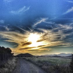 Road passing through field