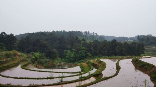 Scenic view of river with trees in background