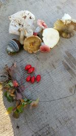 Close-up of food on table