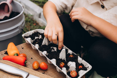 Hand planting seeds in the soil in carton container